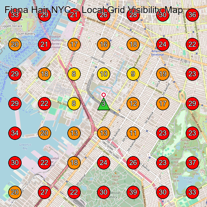 Fiona Hair NYC GeoGrid visibility map for Toy Manufacturer in Brooklyn